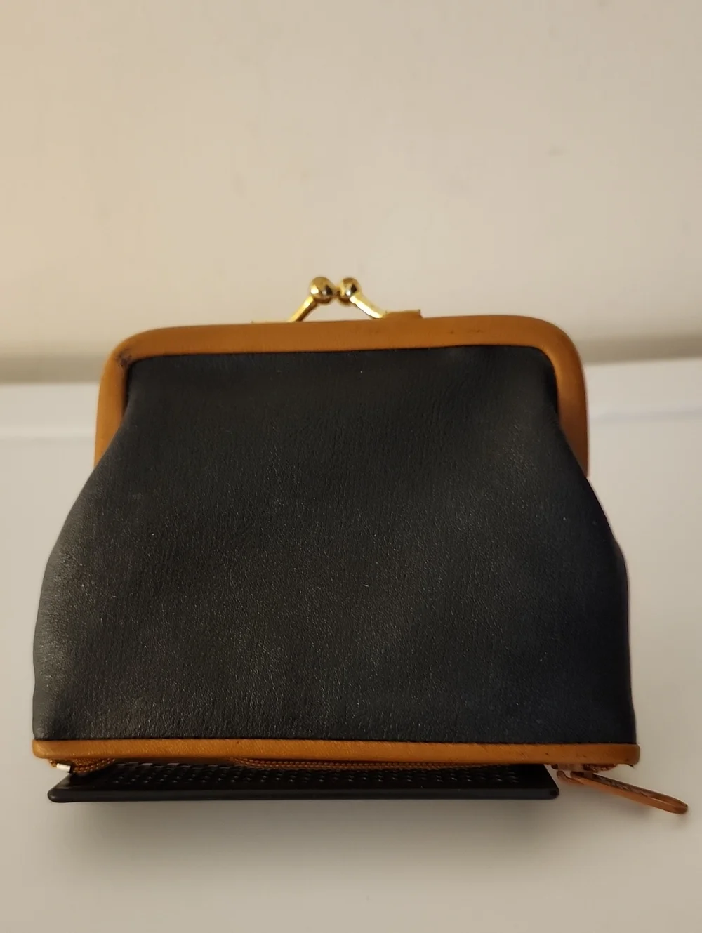 Fossil Dawson Crossbody (New) w/Free Gloria Vanderbilt Change Purse